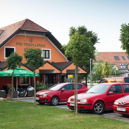 Guest House Pri Treh Lipah Ptuj Zewnętrze zdjęcie