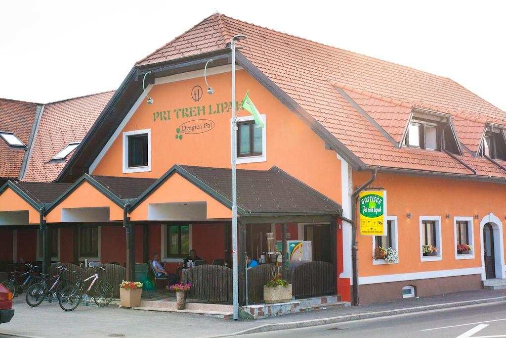 Guest House Pri Treh Lipah Ptuj Zewnętrze zdjęcie