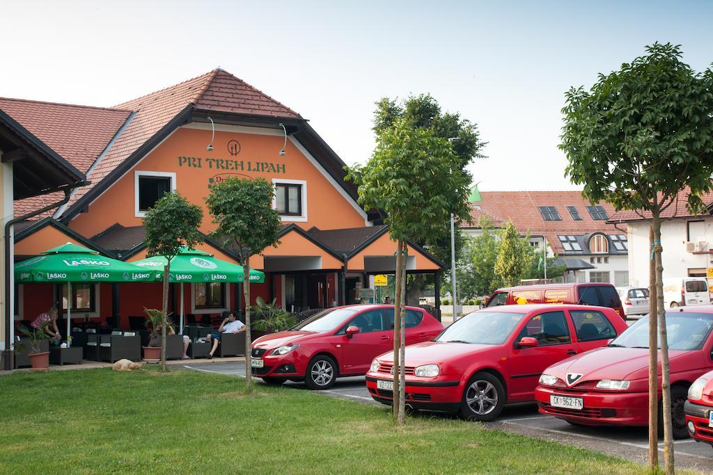 Guest House Pri Treh Lipah Ptuj Zewnętrze zdjęcie