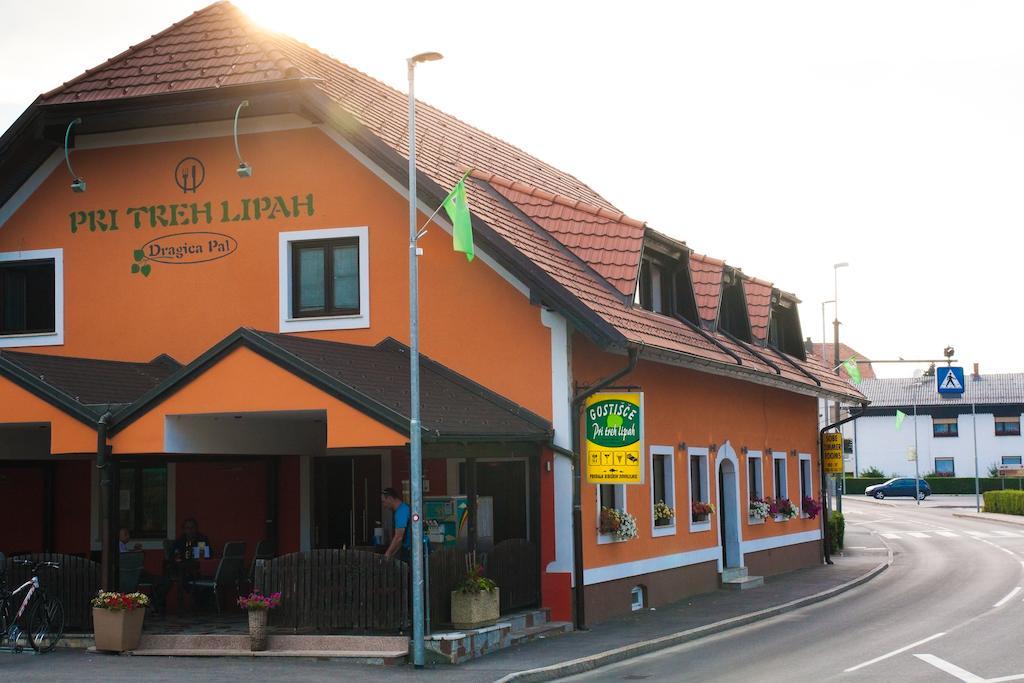 Guest House Pri Treh Lipah Ptuj Zewnętrze zdjęcie
