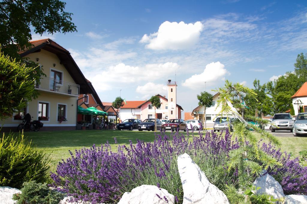 Guest House Pri Treh Lipah Ptuj Zewnętrze zdjęcie
